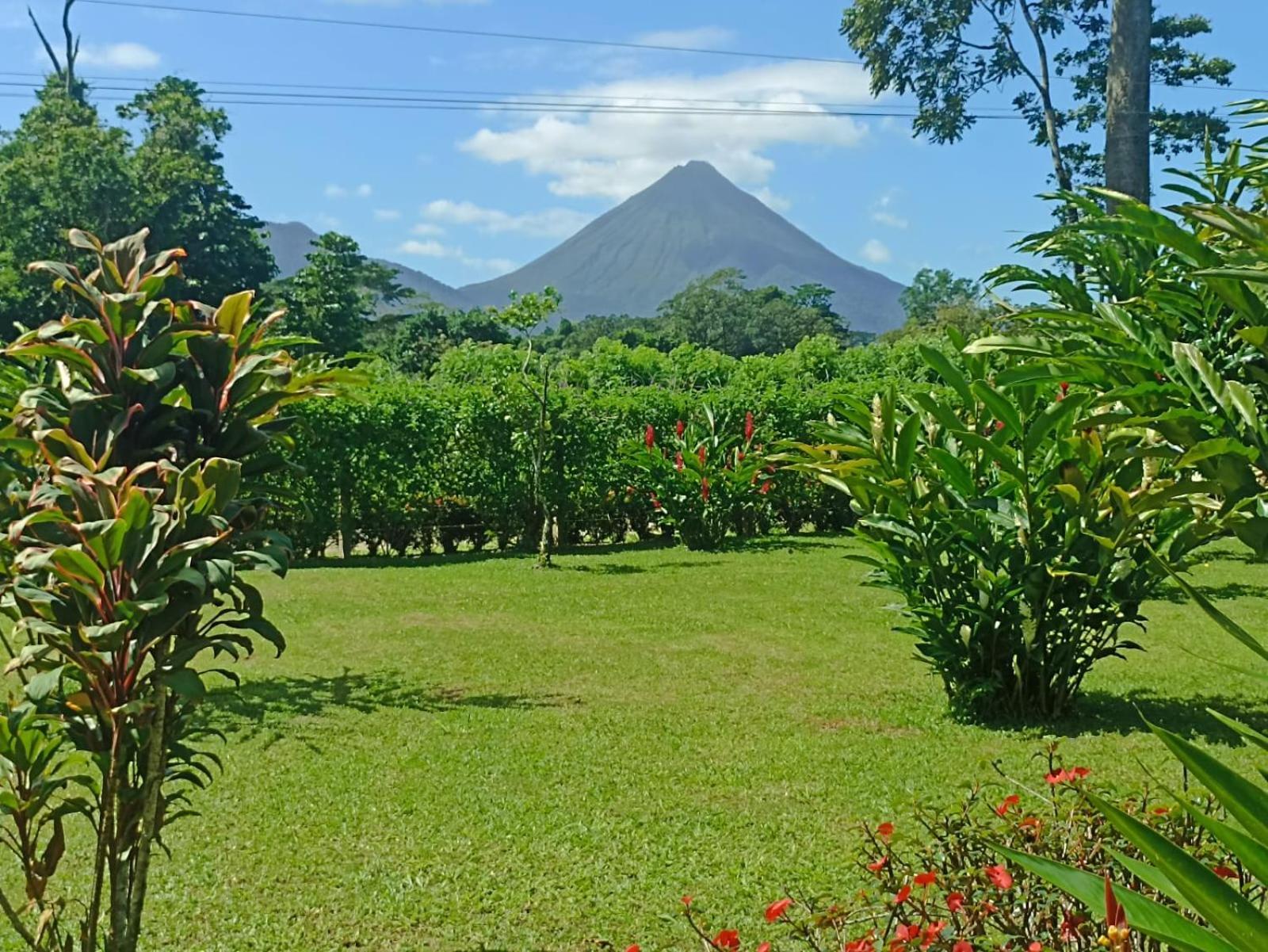 Villa Ceiba La Fortuna Exterior foto
